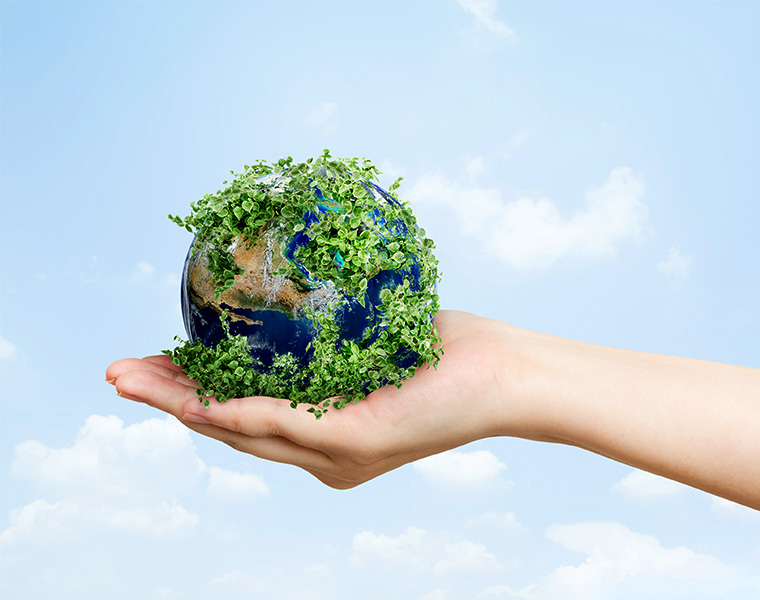 Sustainable Practices